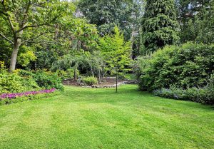 Optimiser l'expérience du jardin à Cubry-les-Faverney